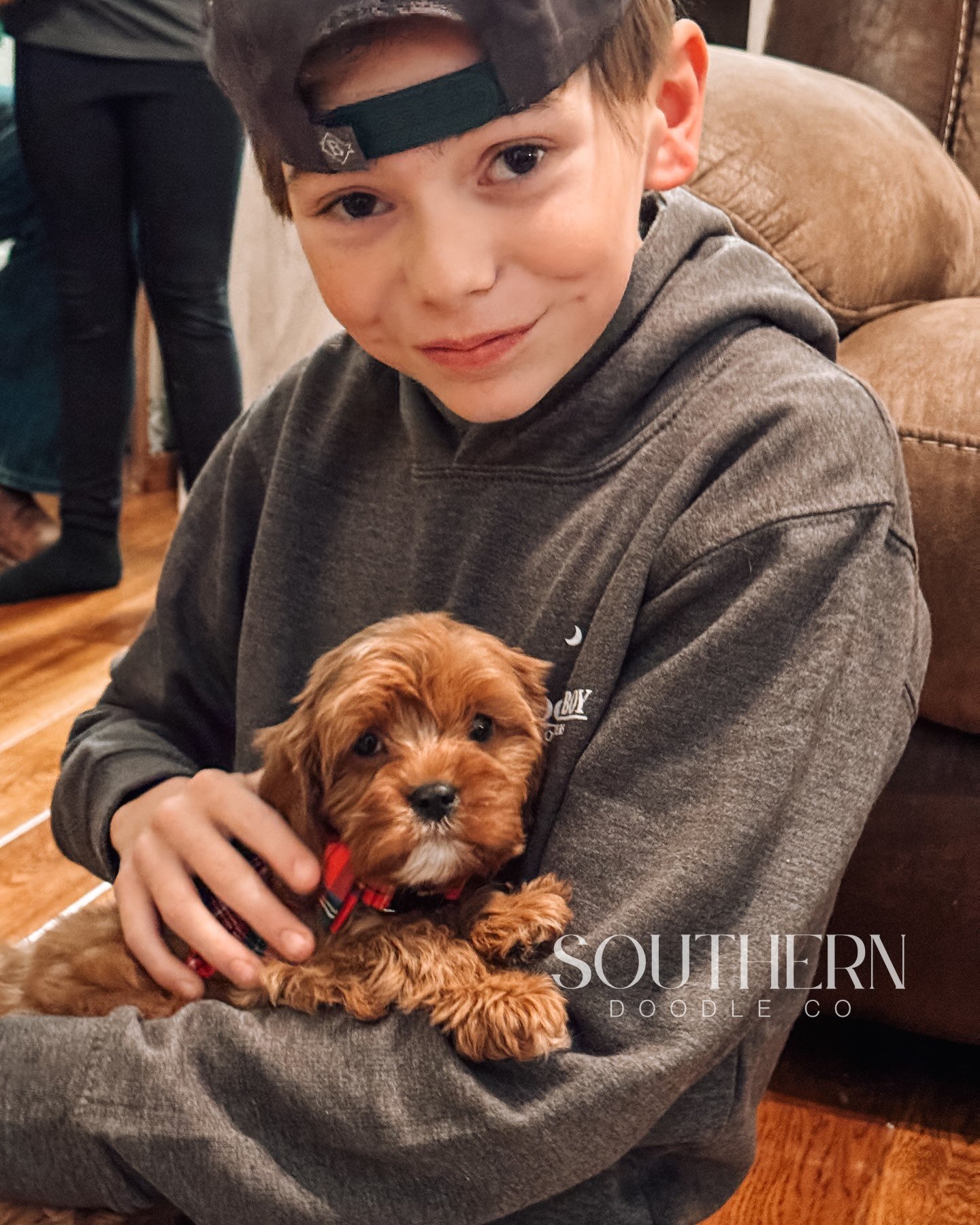 Southern Doodle Co Puppy - The Jensen Family