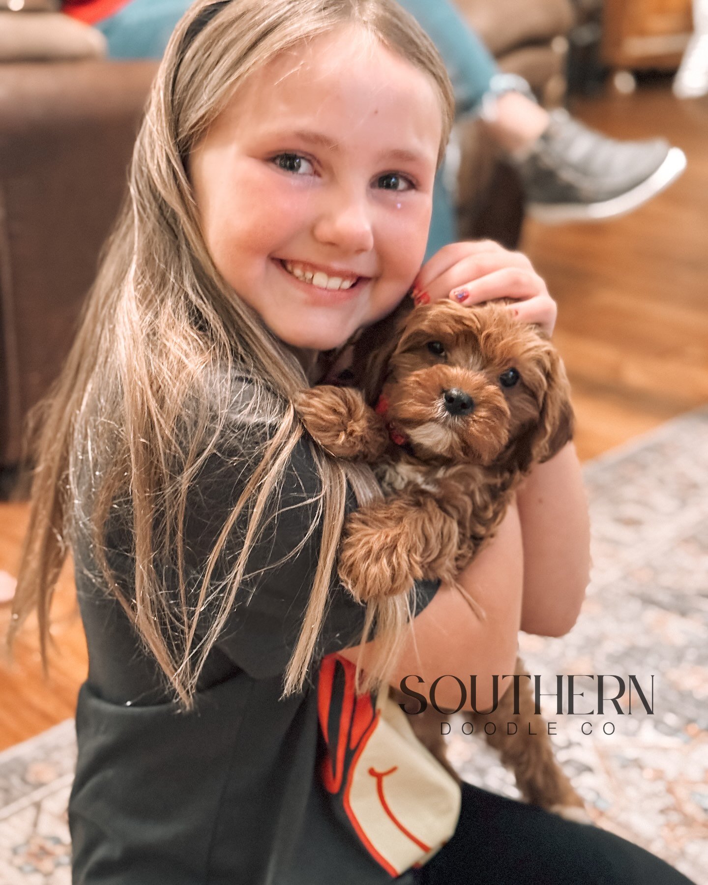 Southern Doodle Co Puppy - The Mitchells